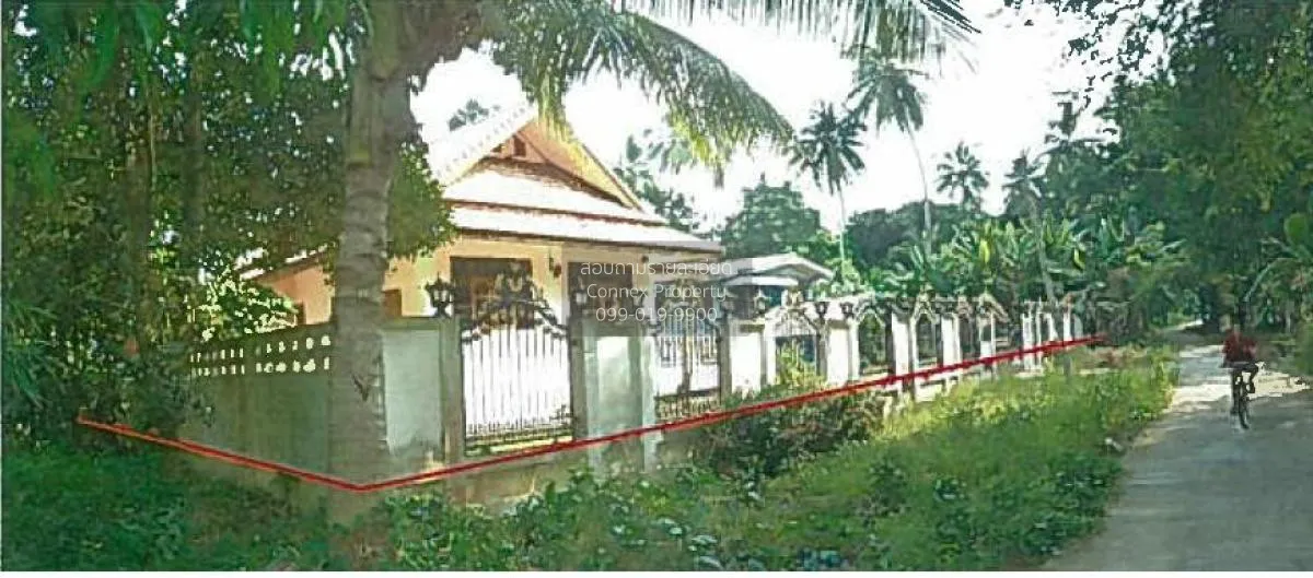 ขายบ้านเดี่ยว 1 ชั้น เนื้อที่ 400 ตารางวา บรรพตพิสัย นครสวรรค์ ตา 4