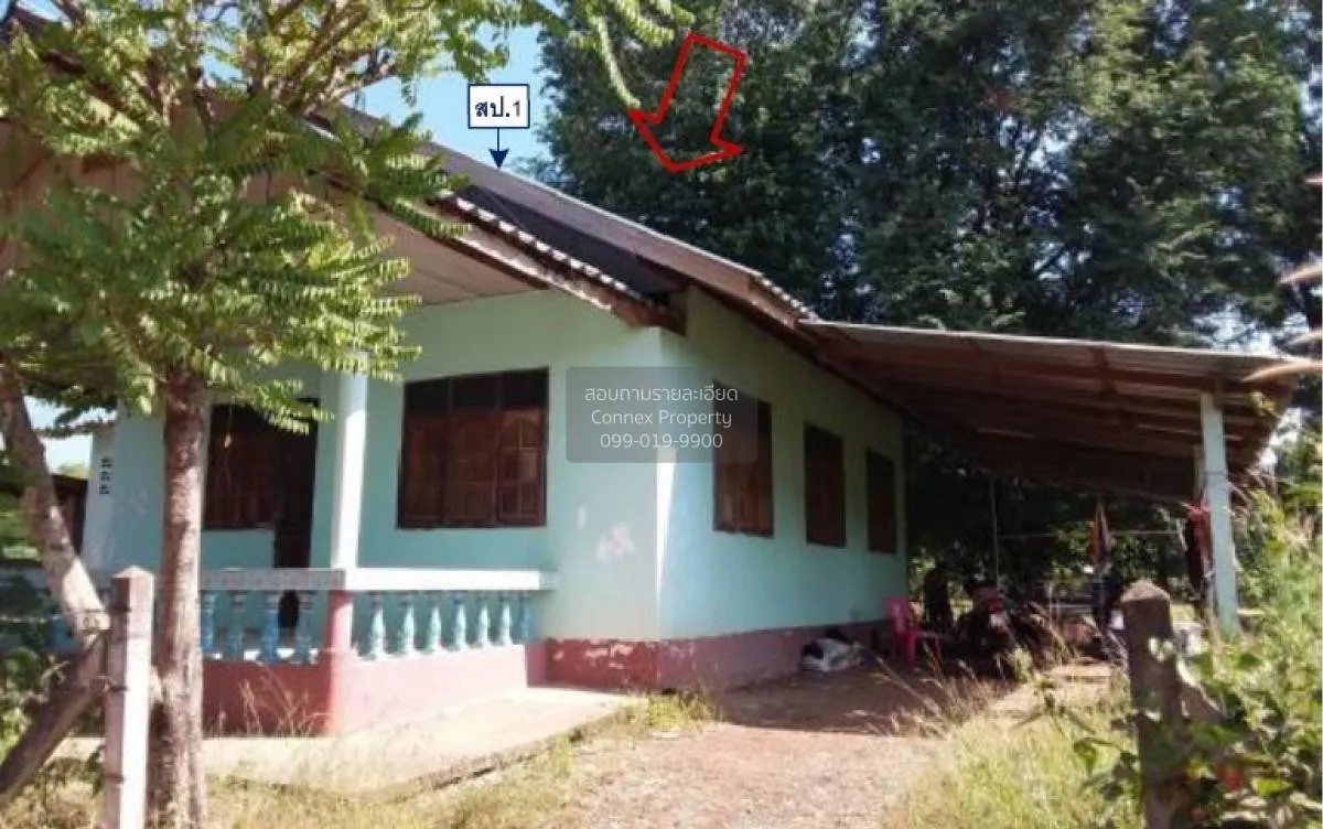 ขายบ้านเดี่ยว หนองคาย  160 ตร.ว. ปะโค  เมืองหนองคาย  หนองคาย ปะโค 3