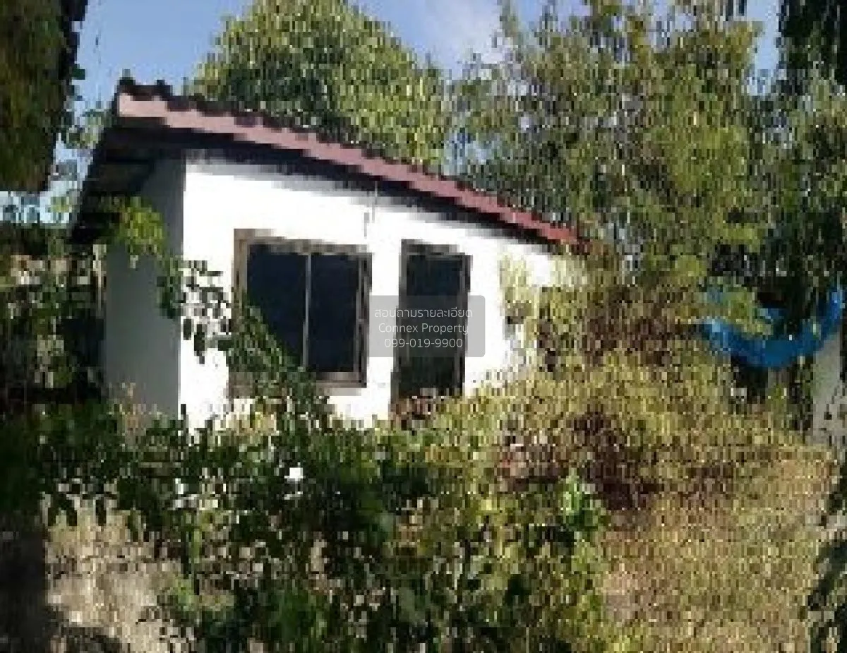 For Sale Single house, Udon Thani, 98 sq m., Non Sa-at, Non Sa-at