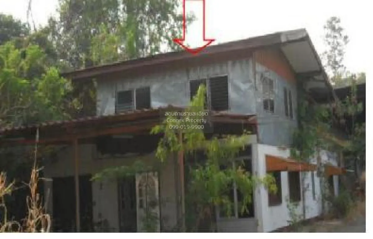 ขายบ้านพร้อมกิจการ อุบลราชธานี  987ตรว. โพธิ์ไทร พิบูลมังสาหาร อุ 2