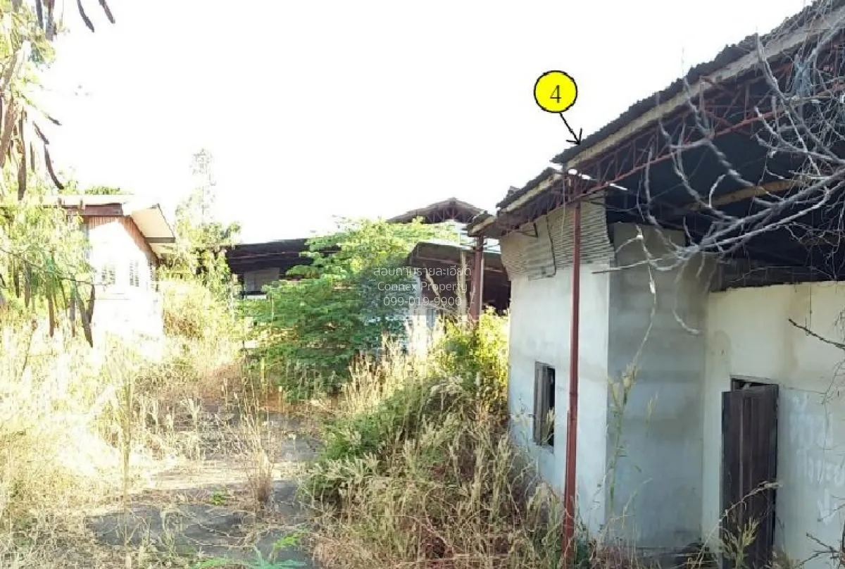 ขายบ้านพร้อมกิจการ อุบลราชธานี  987ตรว. โพธิ์ไทร พิบูลมังสาหาร อุ 3