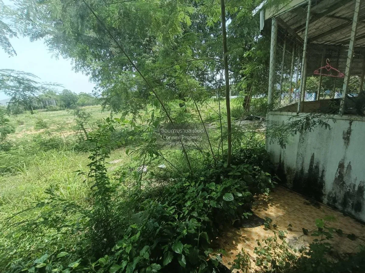 For Sale Commercial Building , Yoo Leaw Ruan , Wang Phong , Pran 