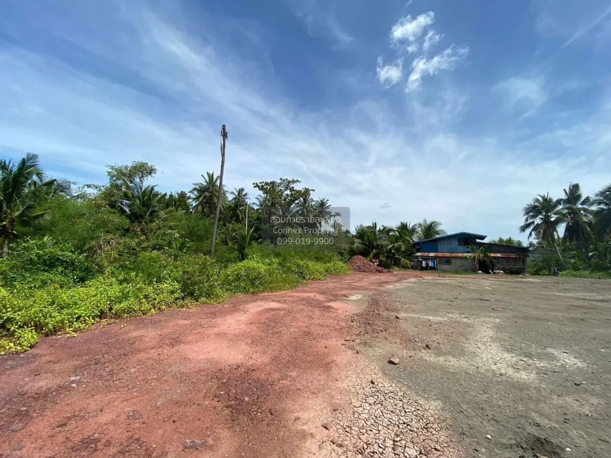 ขายที่ดินเปล่าบางขันแตก บางขันแตก เมืองสมุทรสงคราม สมุทรสงคราม CX 3