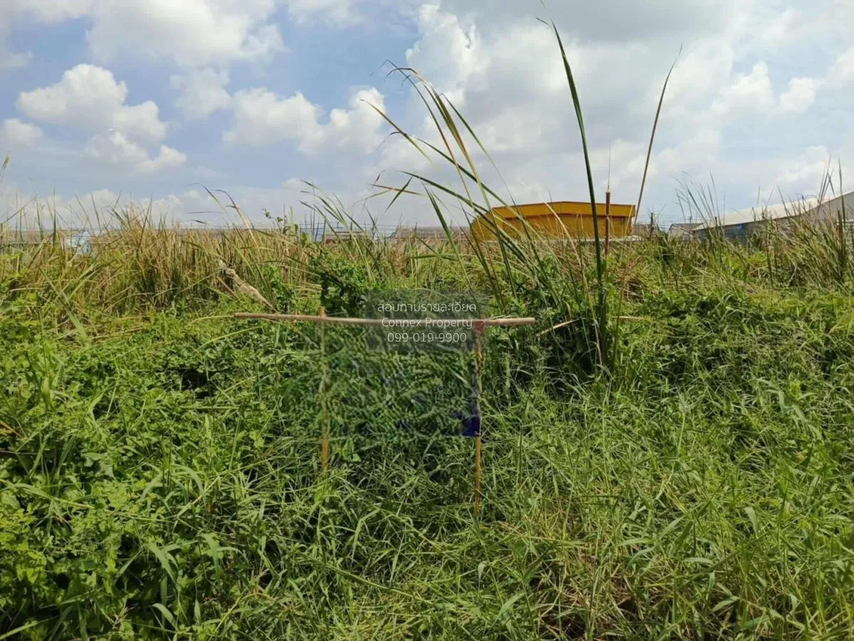 ขายที่ดินเปล่า่ซอยไสวประชาราษฎร์ ลาดสวาย ลำลูกกา ปทุมธานี CX-1211 2