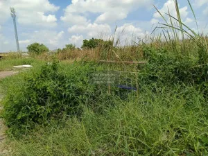 For Sale  Vacant land Soi Sai Pracharat , Lat Sawai , Lam Luk Ka , Pathum Thani , CX-121112