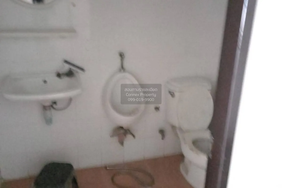 ขายทาวน์เฮ้าส์/ทาวน์โฮม  เอ็ม.ที.อารีน่า ลำลูกกา คูคต ลำลูกกา ปทุ