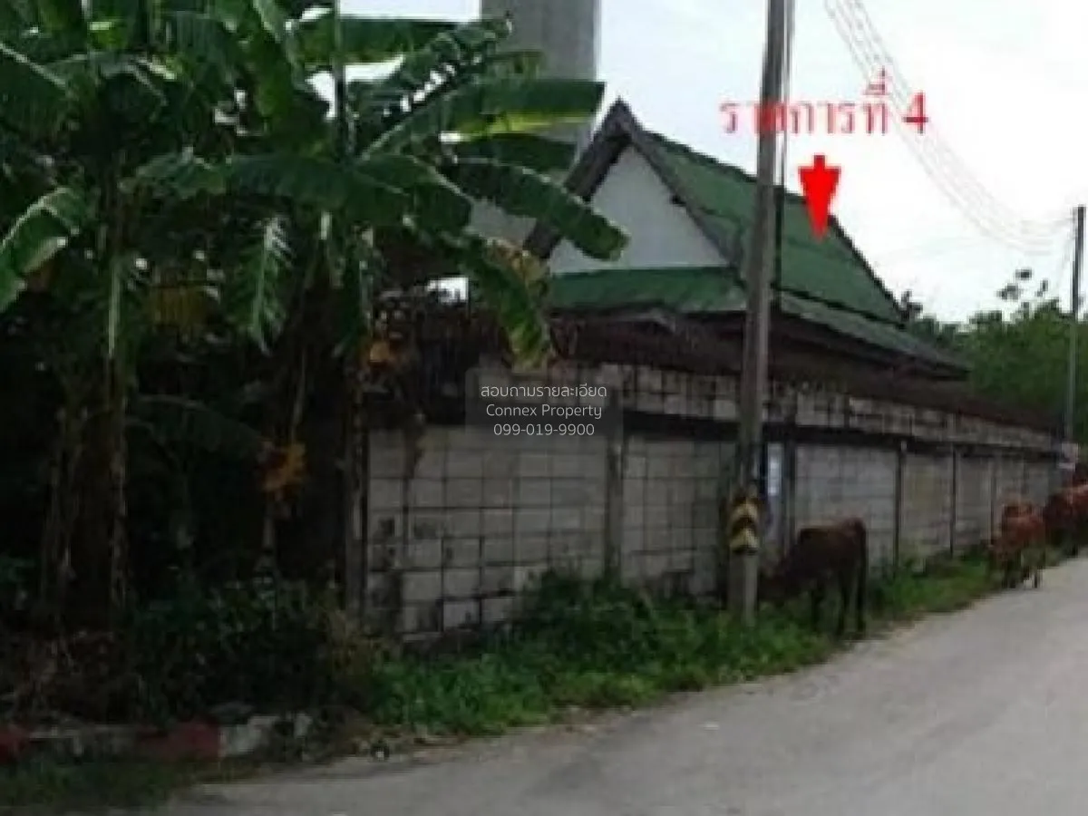 ขายบ้านพร้อมกิจการ 3 ไร่ 1 งาน 48.60 ตารางวา บางแพ ราชบุรี บางแพ  2