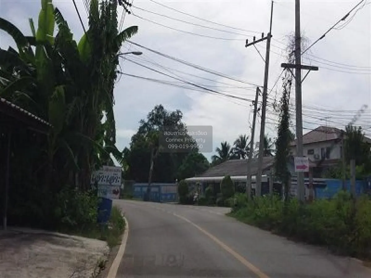 ขายบ้านพร้อมกิจการ 3 ไร่ 1 งาน 48.60 ตารางวา บางแพ ราชบุรี บางแพ  3