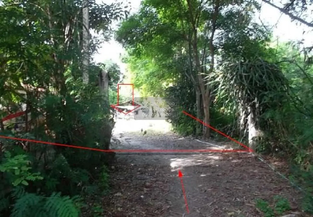 For Sale 1 - storey detached house 2 buildings Mueang Saphan Buri 3