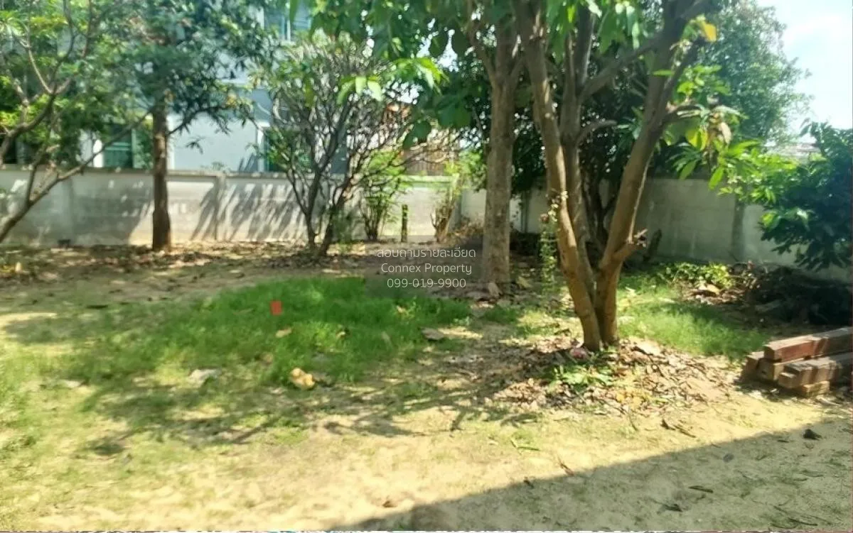 ขายบ้าน  บ้านจิตลดาแลนด์ ไทรน้อย ไทรน้อย นนทบุรี CX-121314 3