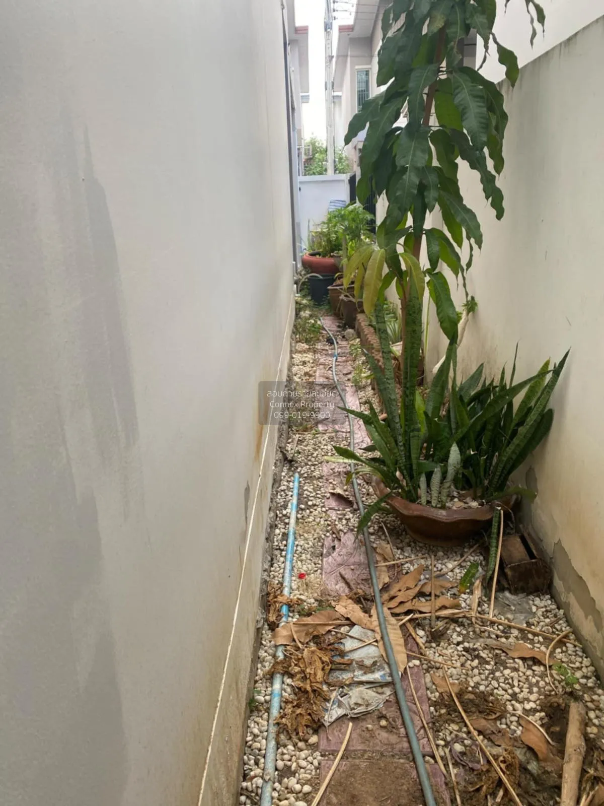 For Sale House , Iconature Salaya , Sala Ya , Phutthamonthon , Na