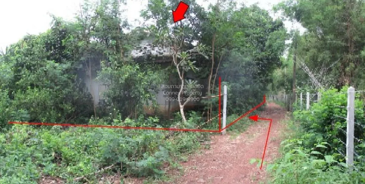 For Sale 1 - storey detached house area 155 square wah Sri Maha P 2