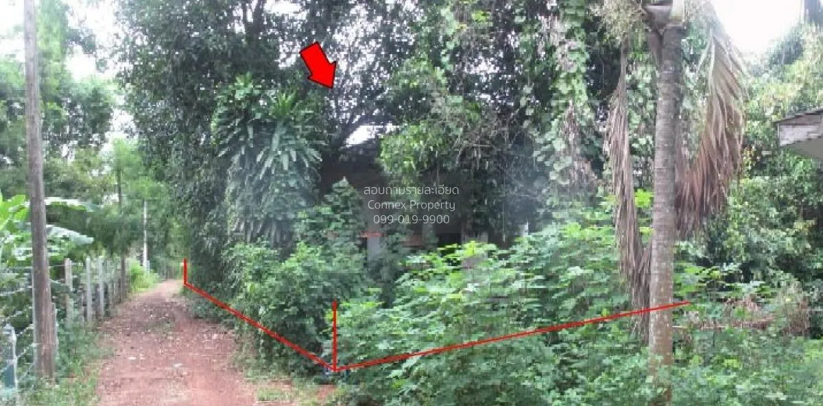 For Sale 1 - storey detached house area 155 square wah Sri Maha P 3