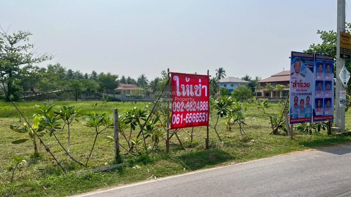 เช่าที่ดินเปล่า เนื้อที่6ไร่3งาน  สวนหลวง อัมพวา สมุทรสงคราม สวนห 2