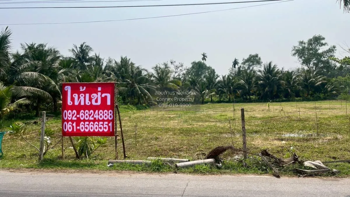 เช่าที่ดินเปล่า เนื้อที่6ไร่3งาน  สวนหลวง อัมพวา สมุทรสงคราม สวนห 4