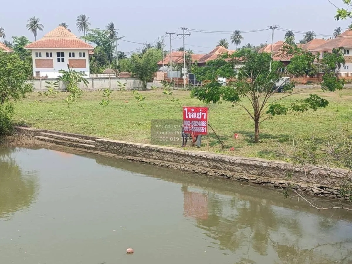 เช่าที่ดินเปล่า เนื้อที่6ไร่3งาน  สวนหลวง อัมพวา สมุทรสงคราม สวนห