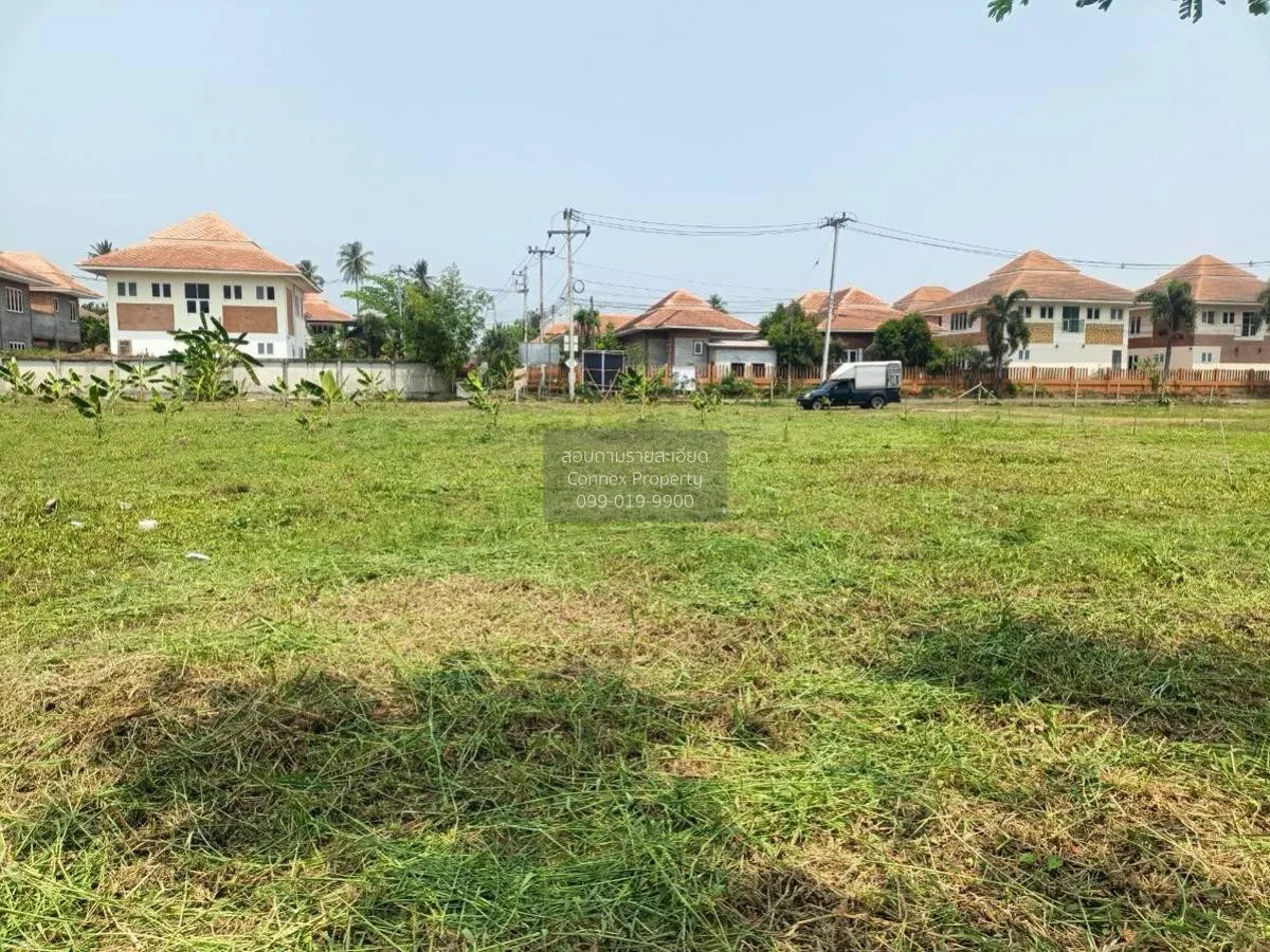 เช่าที่ดินเปล่า เนื้อที่6ไร่3งาน  สวนหลวง อัมพวา สมุทรสงคราม สวนห