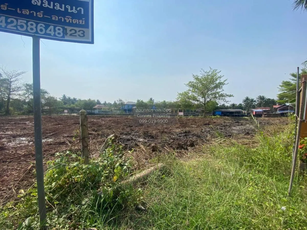 เช่าที่ดินเปล่า เนื้อที่6ไร่3งาน  สวนหลวง อัมพวา สมุทรสงคราม สวนห