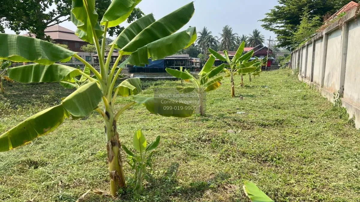 เช่าที่ดินเปล่า เนื้อที่6ไร่3งาน  สวนหลวง อัมพวา สมุทรสงคราม สวนห