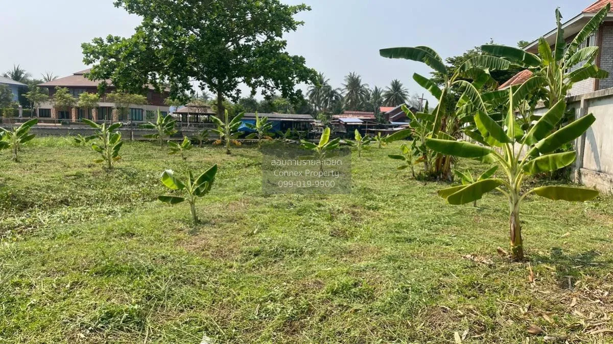 เช่าที่ดินเปล่า เนื้อที่6ไร่3งาน  สวนหลวง อัมพวา สมุทรสงคราม สวนห