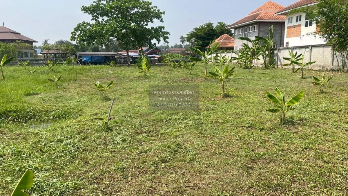 เช่าที่ดินเปล่า เนื้อที่6ไร่3งาน  สวนหลวง อัมพวา สมุทรสงคราม สวนห