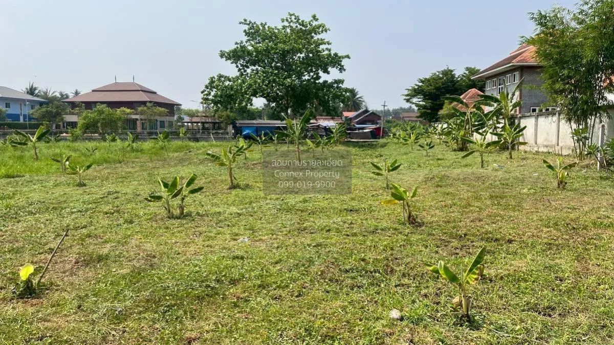 เช่าที่ดินเปล่า เนื้อที่6ไร่3งาน  สวนหลวง อัมพวา สมุทรสงคราม สวนห