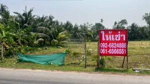 For Rent Vacant land, area 6 rai 3 ngan, Suan Luang, Amphawa, Samut Songkhram , Suan Luang , Amphawa , Samut Songkhram , CX-121404