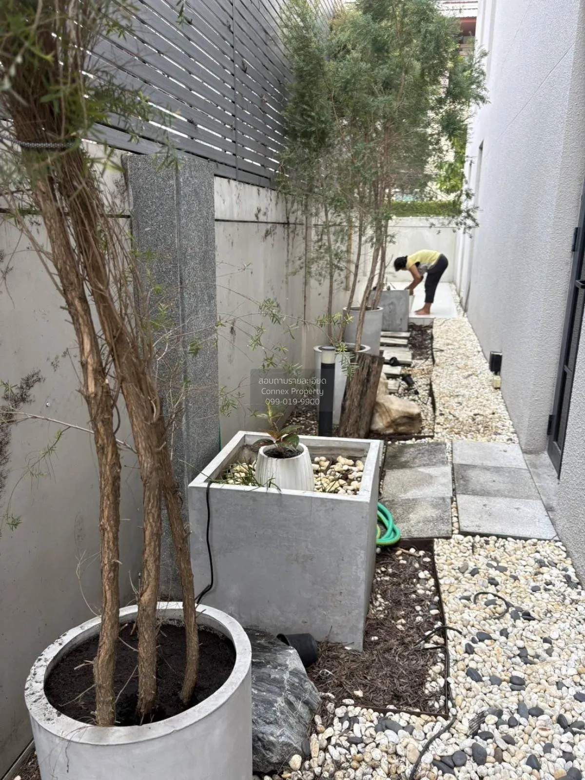 For Rent Townhouse/Townhome  , Quarter 31  , Khlong Tan , Khlong 