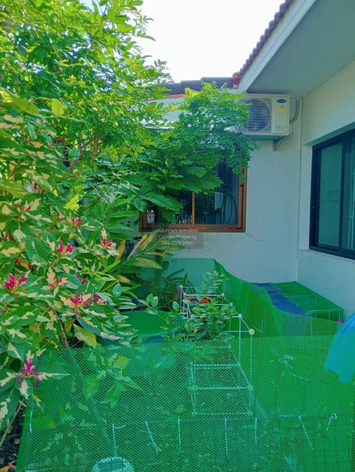 For Sale House , Baan Thammachad Rangsit - Klong 8 , Lam Phak Kut