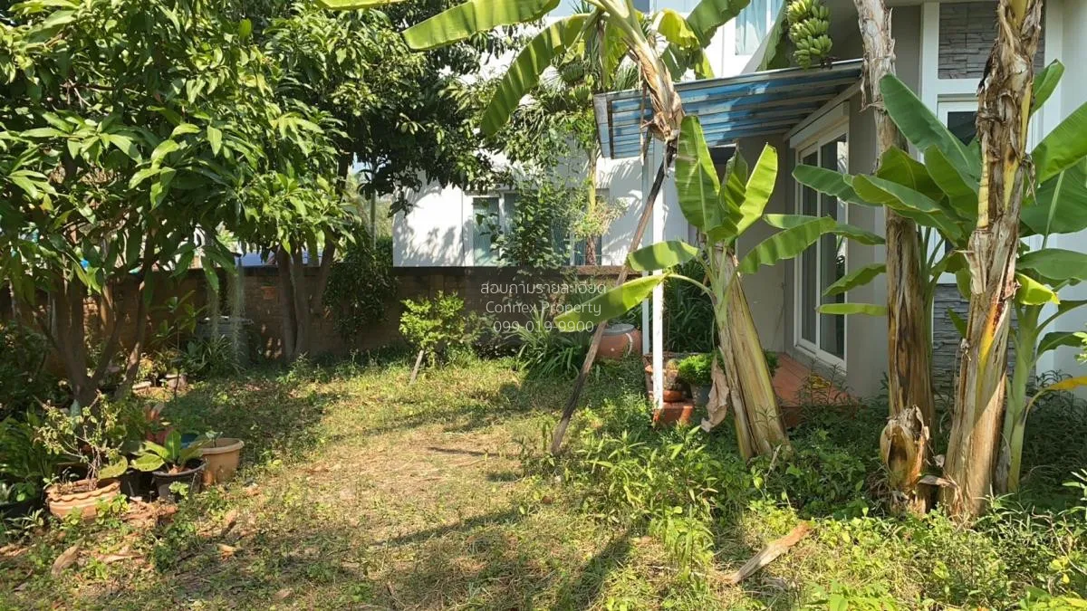 ขายบ้าน  โกลเด้น วิลเลจ อ่อนนุช-พัฒนาการ ห้องมุม ARL-บ้านทับช้าง  4