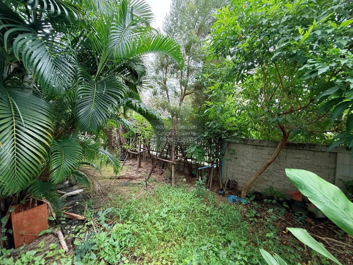 ขายบ้าน  โกลเด้น นีโอ บางนา-สวนหลวง ดอกไม้ เขต ประเวศ กรุงเทพ CX-