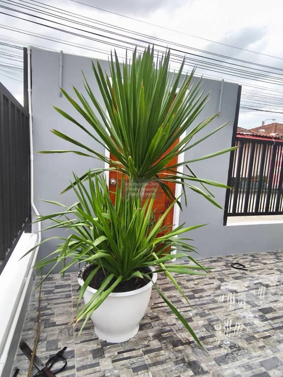 For Sale House , Baan Phrueksa 3 Bang Bua Thong , Bang Khu Rat , 