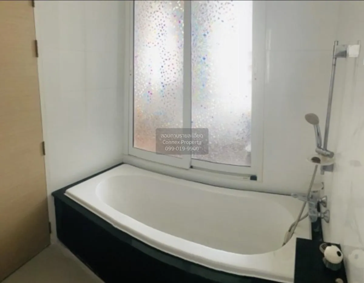 For Rent Condo , The Coast Bangkok , high floor , BTS-Bang Na , B