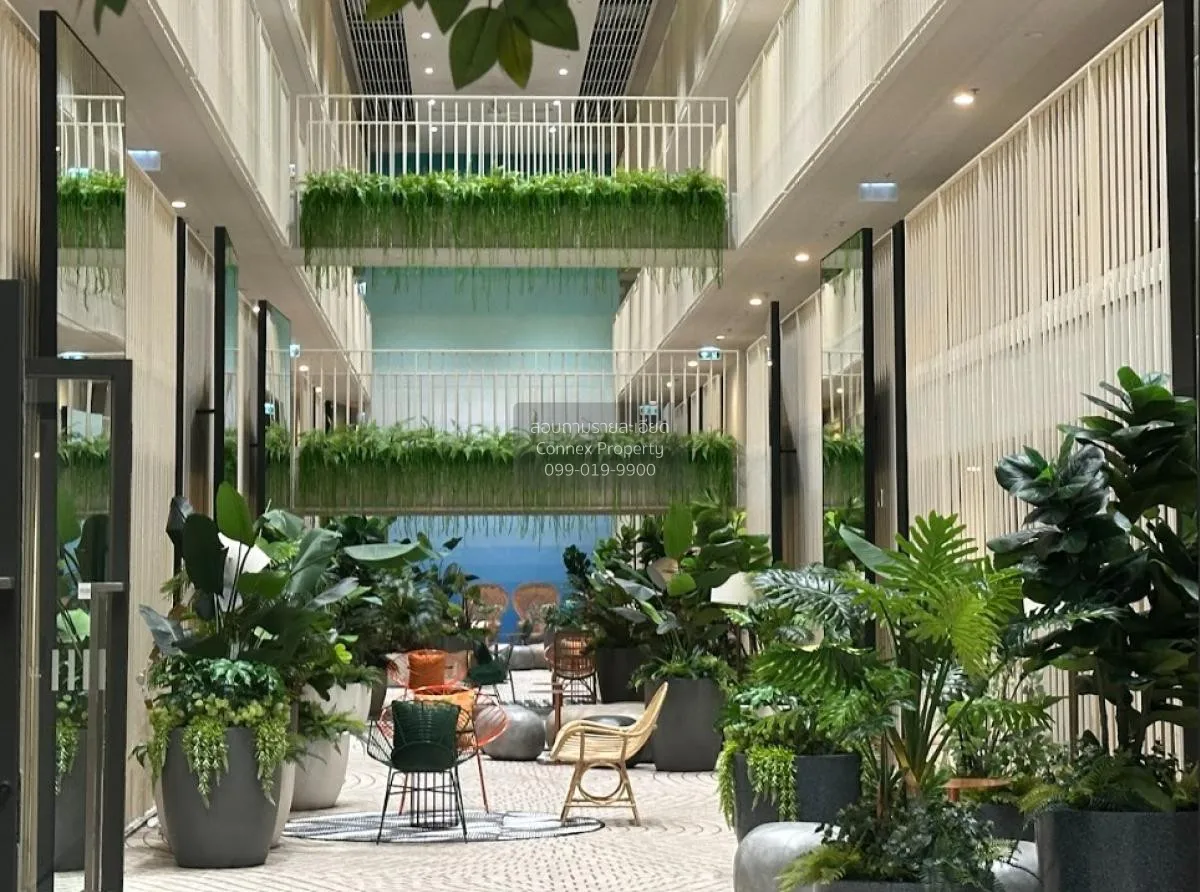 เช่าคอนโด  เดอะ เบส สะพานใหม่ BTS-สายหยุด อนุสาวรีย์ เขต บางเขน ก