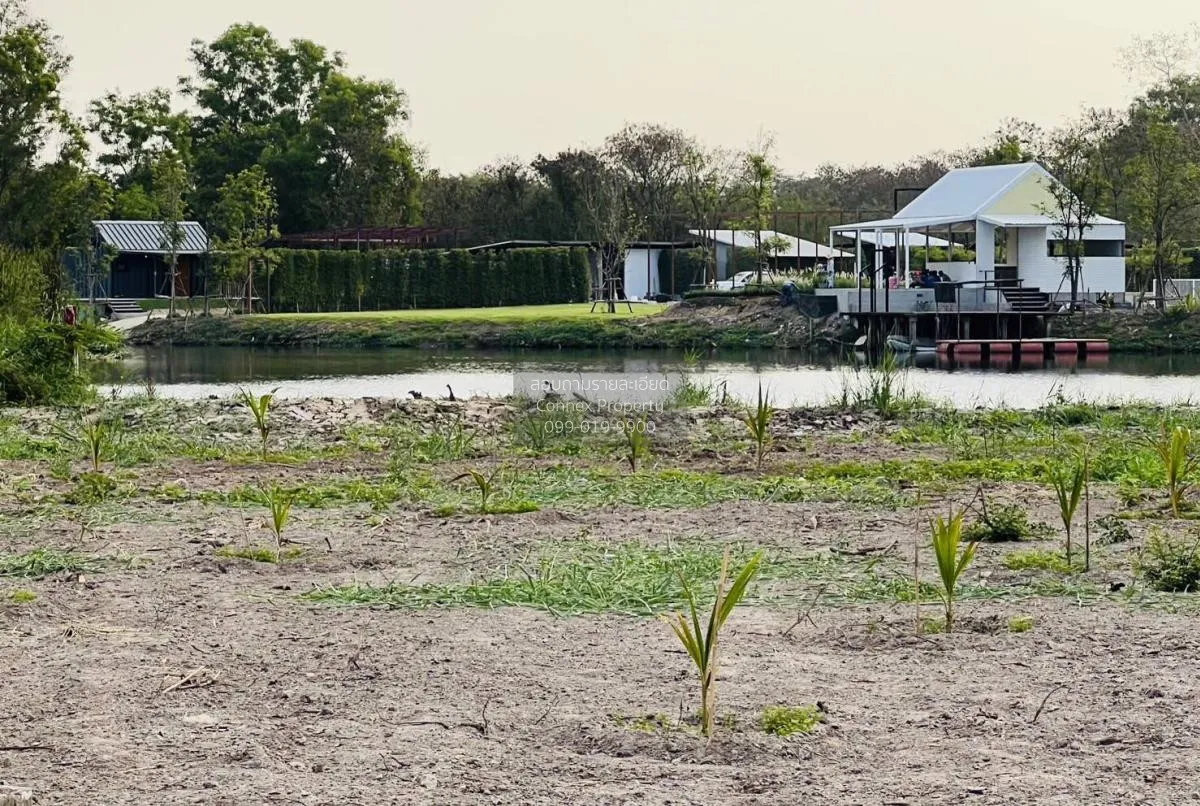 ขายที่ดินเปล่า 419 ตารางวา ติด ซาฟารีเวิลด์ กรุงเทพมหานคร สามวาตะ 2