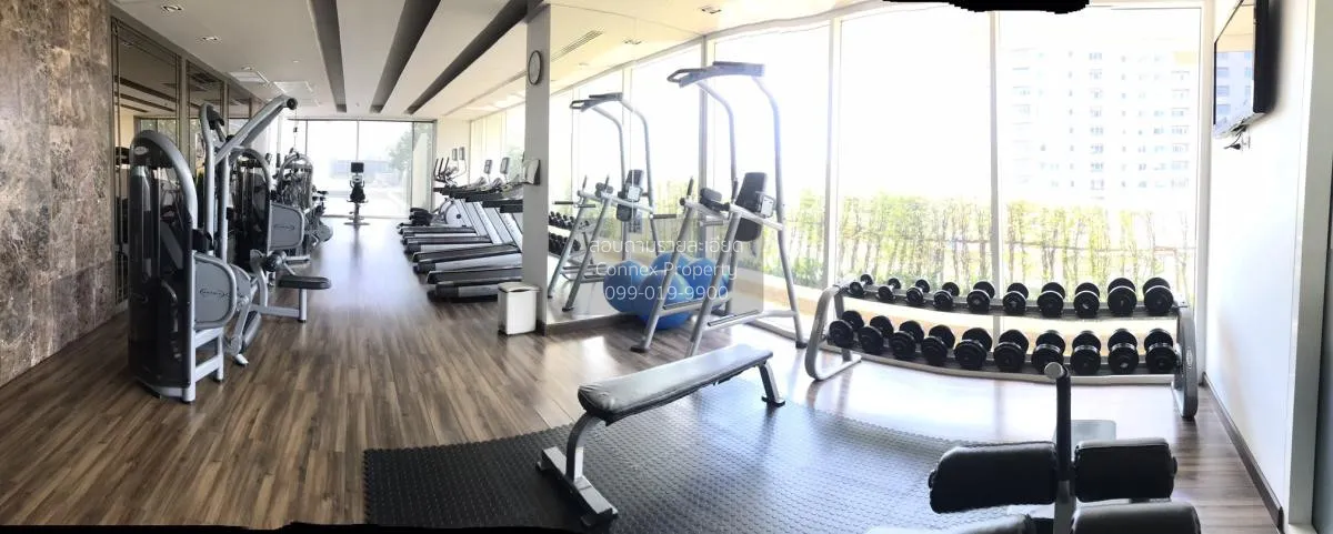 เช่าคอนโด  ไอวี่ ทองหล่อ BTS-ทองหล่อ คลองตันเหนือ เขต วัฒนา กรุงเ