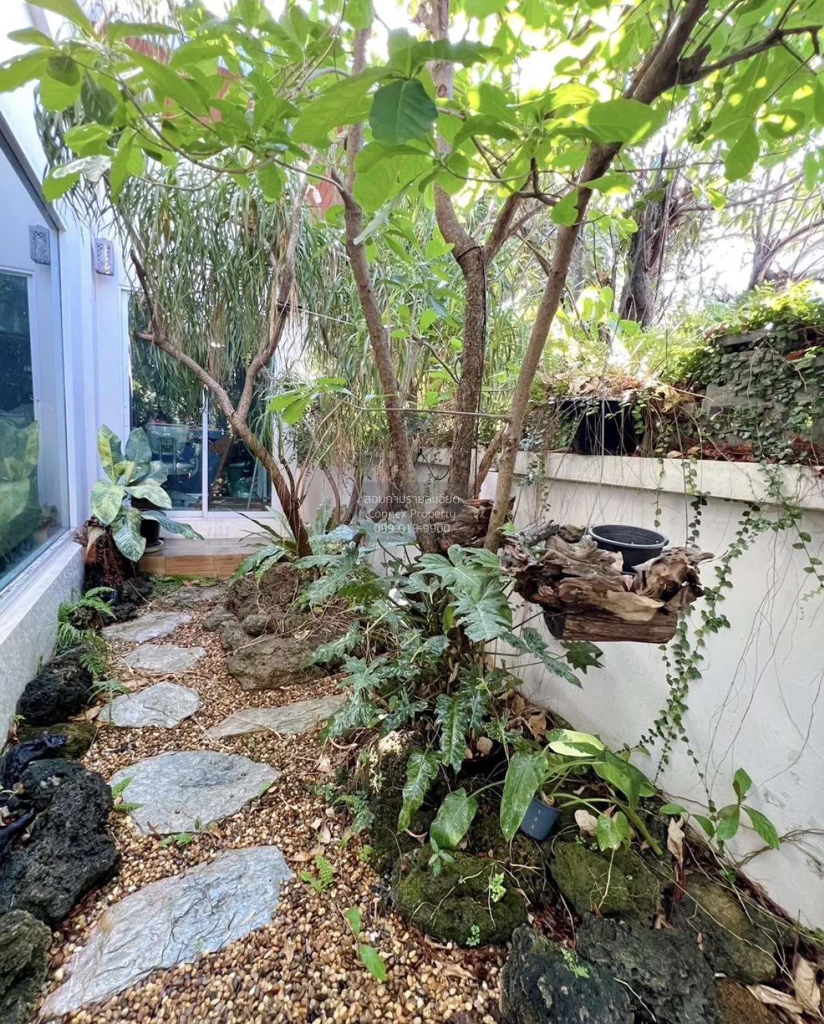 ขายบ้าน  บ้านซื่อตรง บางใหญ่ รีโนเวทใหม่ ละหาร บางบัวทอง นนทบุรี  3