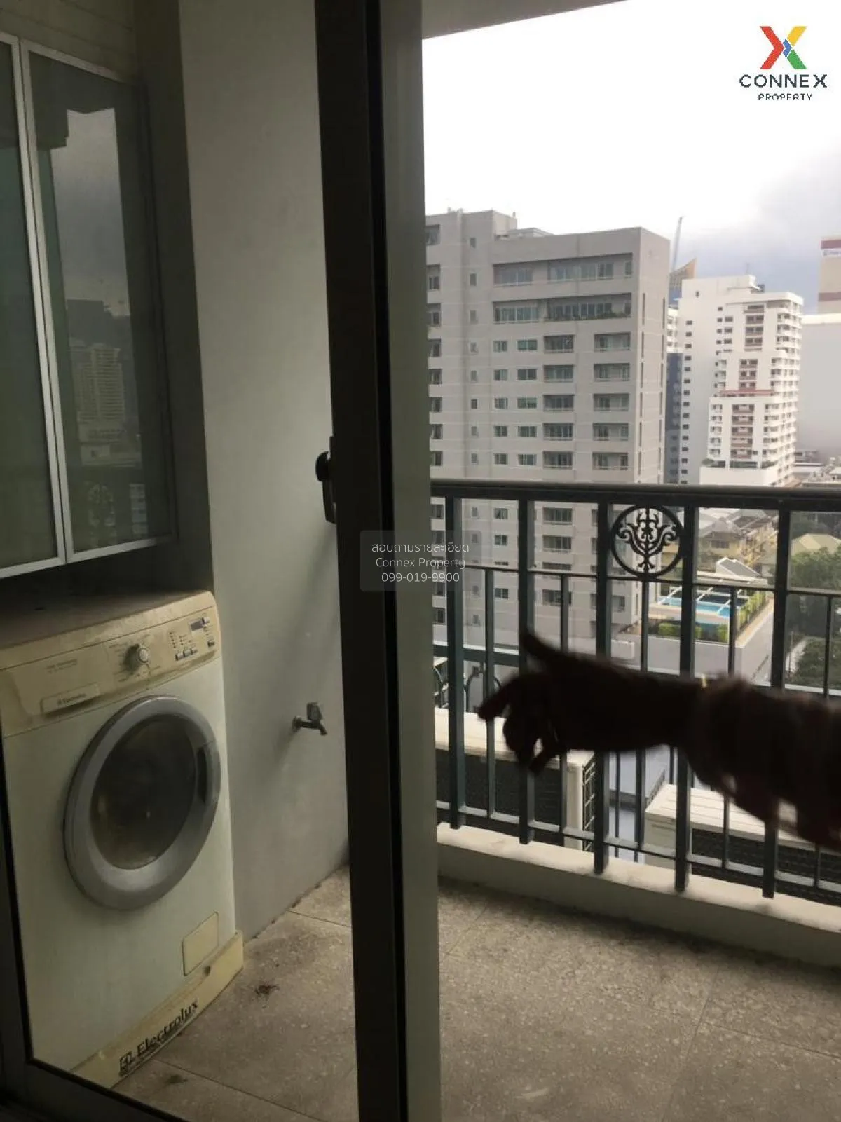 ขายคอนโด  ไอวี่ ทองหล่อ BTS-ทองหล่อ คลองตันเหนือ เขต วัฒนา กรุงเท