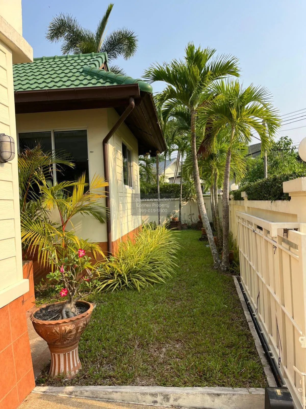 ขายบ้านเดี่ยว พูลวิลล่า พัทยา วิวสวย หน้ากว้าง หนองปลาไหล บางละมุ