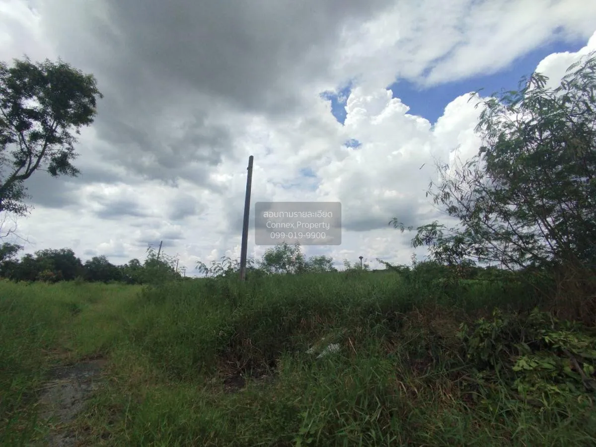 ขายที่ดินเปล่า  ฉลองกรุง ริเวอร์วิลล์ รีสอร์ท ลำผักชี เขต หนองจอก 2