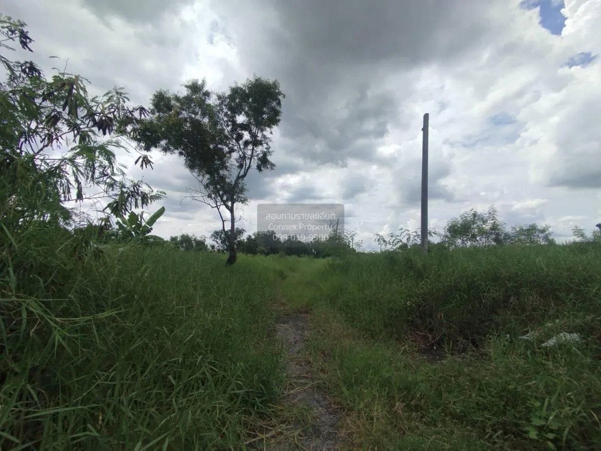 ขายที่ดินเปล่า  ฉลองกรุง ริเวอร์วิลล์ รีสอร์ท ลำผักชี เขต หนองจอก 3