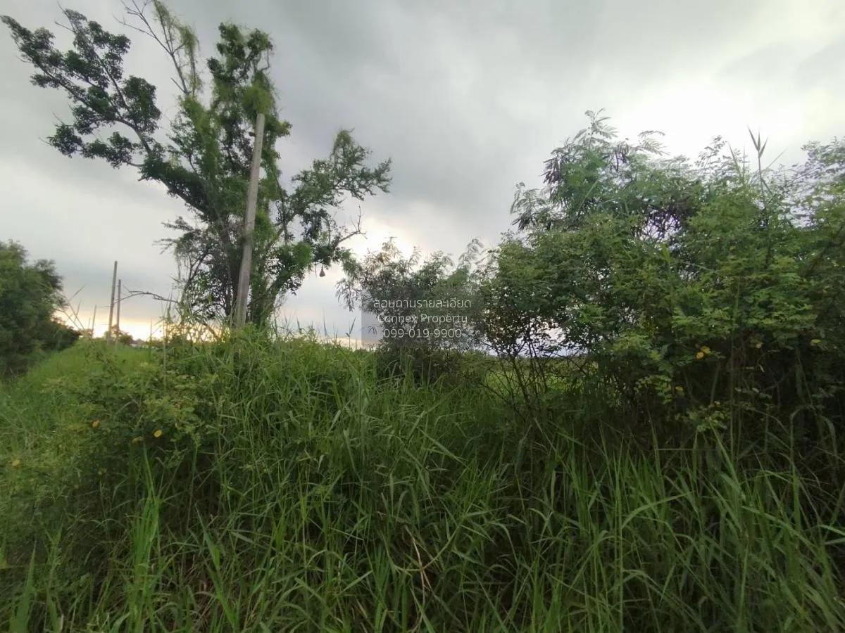 ขายที่ดินเปล่า  ฉลองกรุง ริเวอร์วิลล์ รีสอร์ท ลำผักชี เขต หนองจอก 2