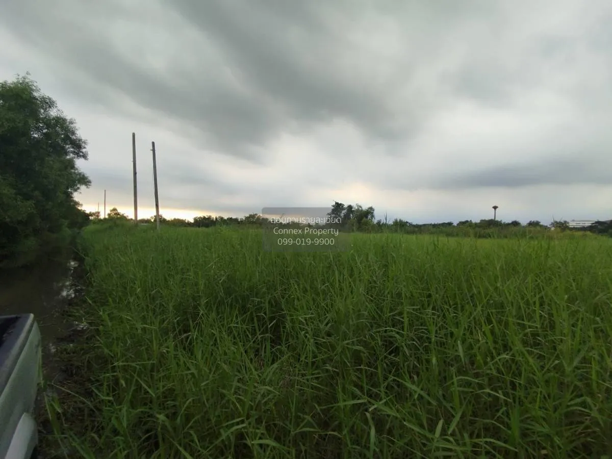 ขายที่ดินเปล่า  ฉลองกรุง ริเวอร์วิลล์ รีสอร์ท ลำผักชี เขต หนองจอก 1
