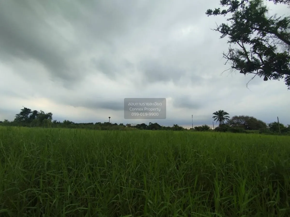 ขายที่ดินเปล่า  ฉลองกรุง ริเวอร์วิลล์ รีสอร์ท ลำผักชี เขต หนองจอก 2