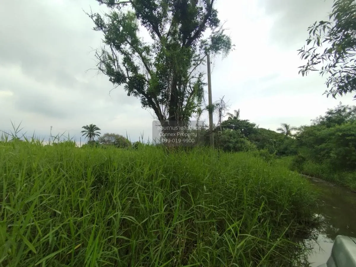 ขายที่ดินเปล่า  ฉลองกรุง ริเวอร์วิลล์ รีสอร์ท ลำผักชี เขต หนองจอก 4