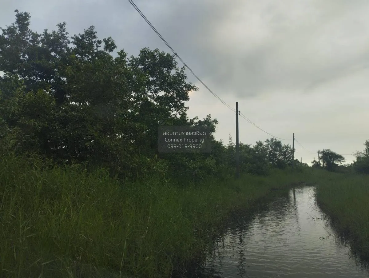 ขายที่ดินเปล่า  ฉลองกรุง ริเวอร์วิลล์ รีสอร์ท ลำผักชี เขต หนองจอก 2