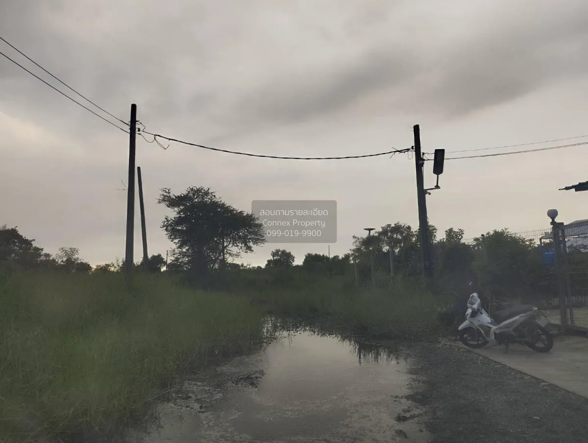 ขายที่ดินเปล่า  ฉลองกรุง ริเวอร์วิลล์ รีสอร์ท ลำผักชี เขต หนองจอก 3