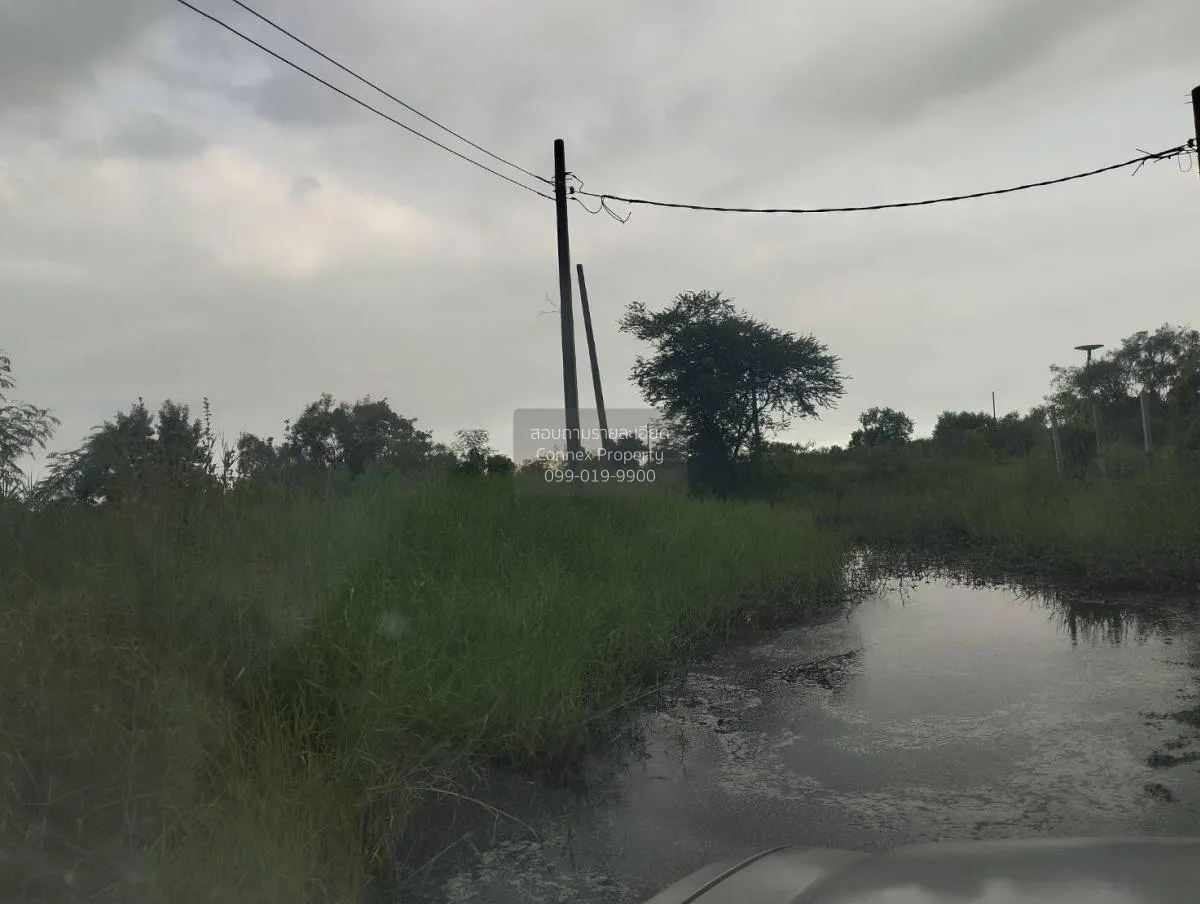 ขายที่ดินเปล่า  ฉลองกรุง ริเวอร์วิลล์ รีสอร์ท ลำผักชี เขต หนองจอก 4