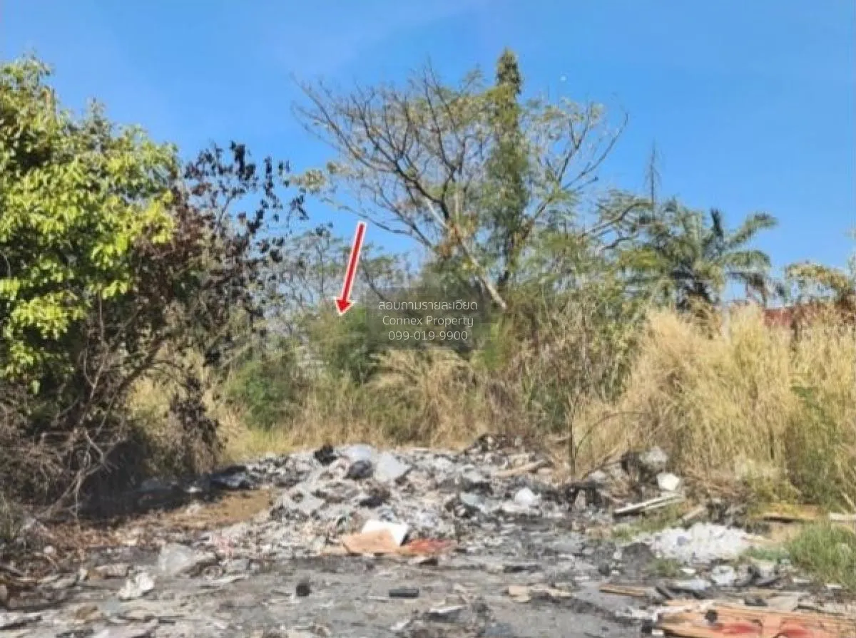ขายที่ดินเปล่า  ฉลองกรุง ริเวอร์วิลล์ รีสอร์ท ลำผักชี เขต หนองจอก 1