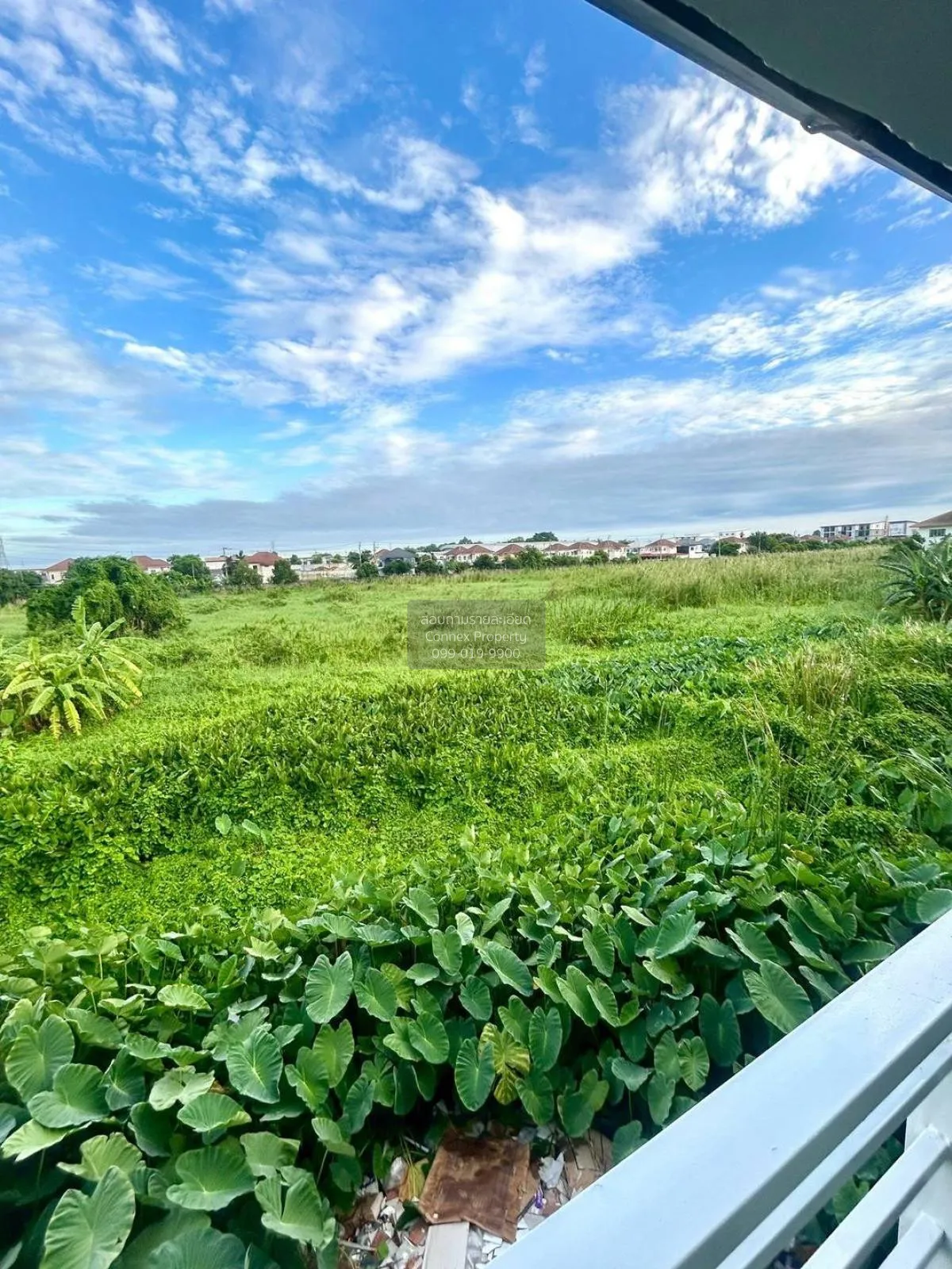 ขายทาวน์เฮ้าส์/ทาวน์โฮม  ปิยวรารมย์ 2 ไทรน้อย ไทรน้อย นนทบุรี CX-